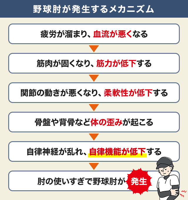 野球肘が発生するメカニズム