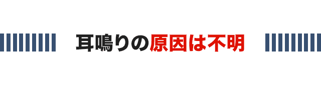 耳鳴りの原因は不明